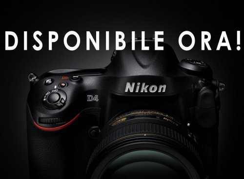 Nikon D4