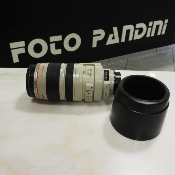 Canon EF 100-400 f/4-5.6 L IS USM