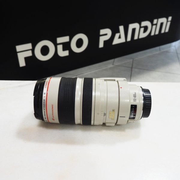 Canon EF L IS 100-400 f/4.5-5.6 USM